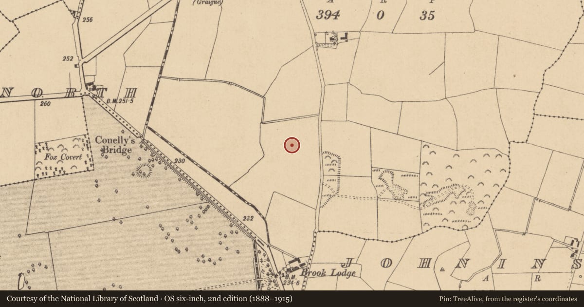 Ordnance Survey six-inch map, 2nd edition (1888–1915) covering the location of Enclosure, Graiguesallagh, County Kildare, with a pin at the register's coordinates