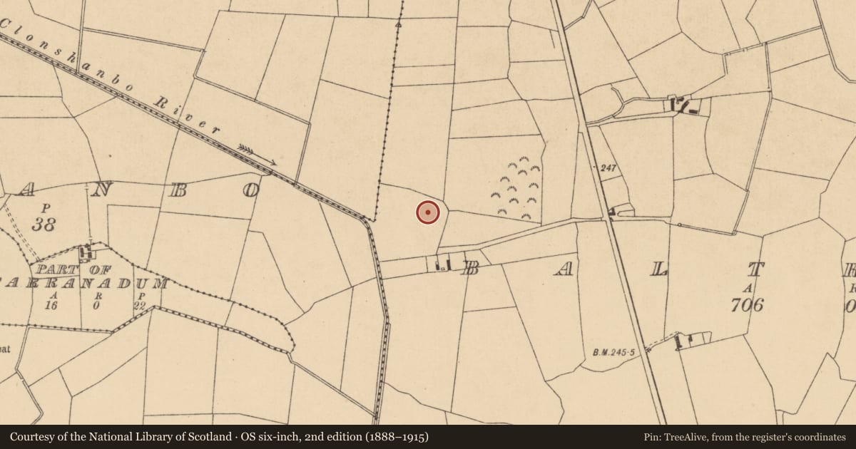 Ordnance Survey six-inch map, 2nd edition (1888–1915) covering the location of Enclosure, Baltracey, County Kildare, with a pin at the register's coordinates
