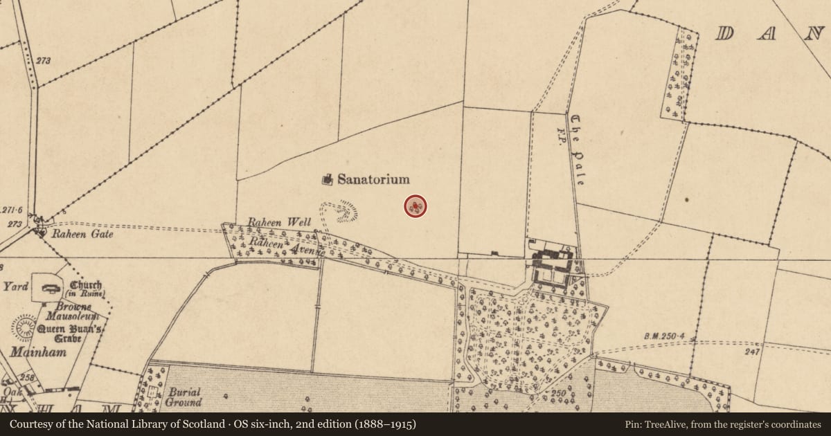 Ordnance Survey six-inch map, 2nd edition (1888–1915) covering the location of Enclosure, Castlebrown Or Clongowes, County Kildare, with a pin at the register's coordinates