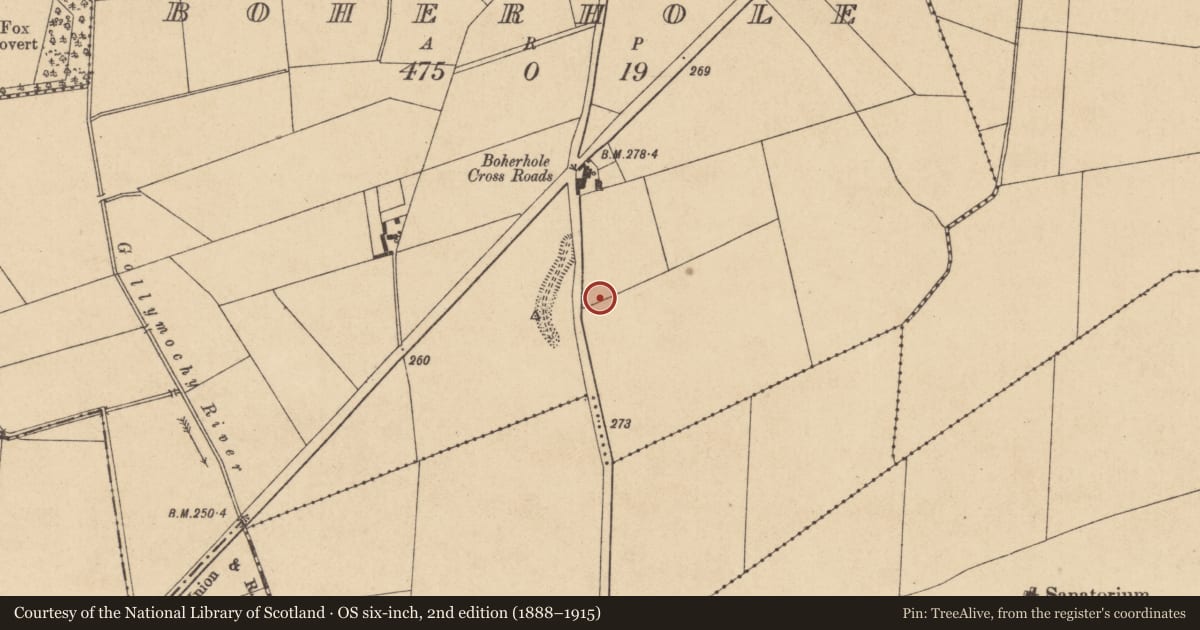 Ordnance Survey six-inch map, 2nd edition (1888–1915) covering the location of Enclosure, Boherhole, County Kildare, with a pin at the register's coordinates