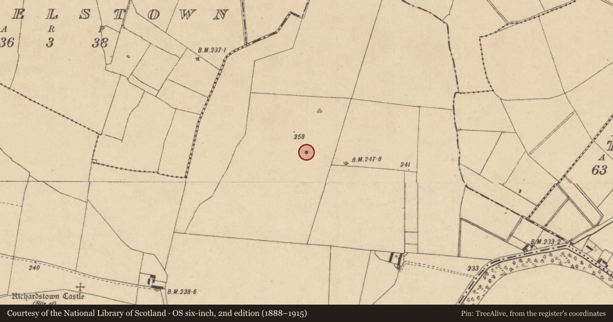 Ordnance Survey six-inch map, 2nd edition (1888–1915) covering the location of Enclosure, Richardstown, County Kildare, with a pin at the register's coordinates