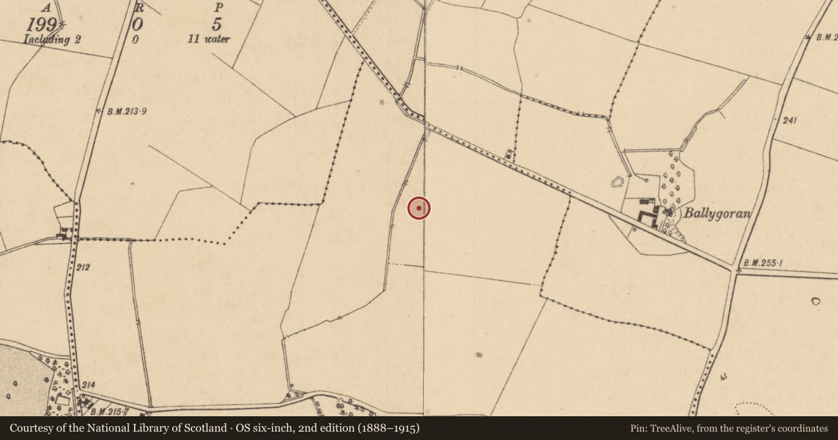 Ordnance Survey six-inch map, 2nd edition (1888–1915) covering the location of Burial ground, Moneycooly, County Kildare, with a pin at the register's coordinates