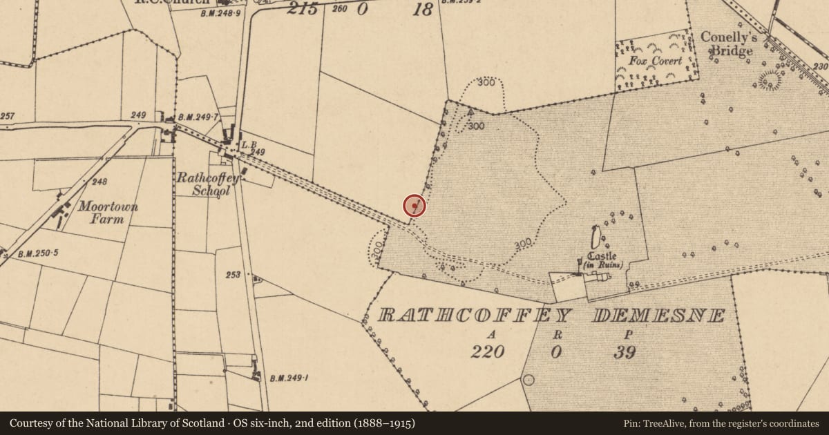 Ordnance Survey six-inch map, 2nd edition (1888–1915) covering the location of Habitation site, Rathcoffey North, County Kildare, with a pin at the register's coordinates