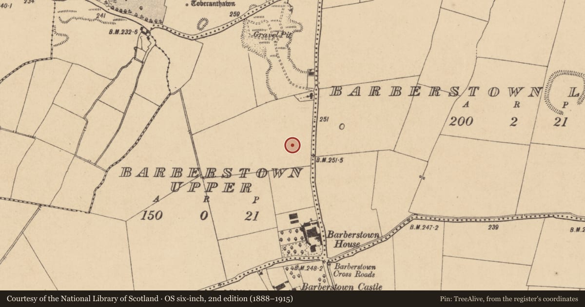Ordnance Survey six-inch map, 2nd edition (1888–1915) covering the location of Enclosure, Barberstown Upper, County Kildare, with a pin at the register's coordinates