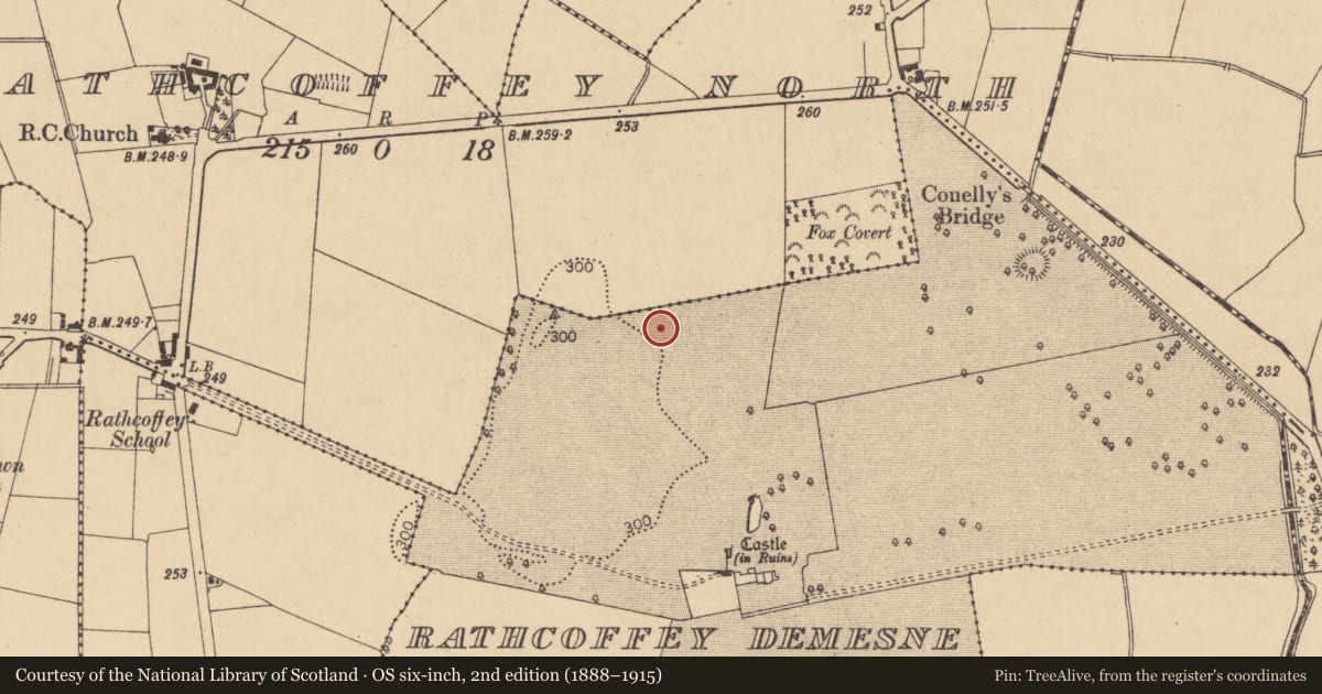 Ordnance Survey six-inch map, 2nd edition (1888–1915) covering the location of Enclosure, Rathcoffey Demesne, County Kildare, with a pin at the register's coordinates