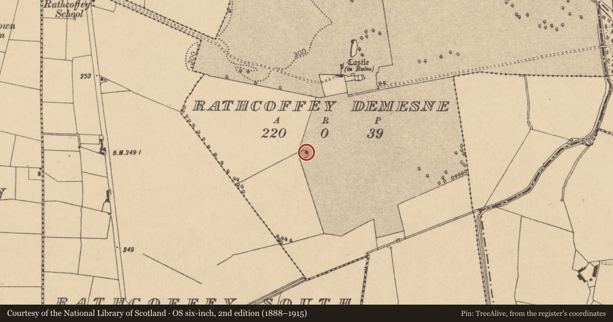 Ordnance Survey six-inch map, 2nd edition (1888–1915) covering the location of Designed landscape - tree-ring, Rathcoffey Demesne, County Kildare, with a pin at the register's coordinates