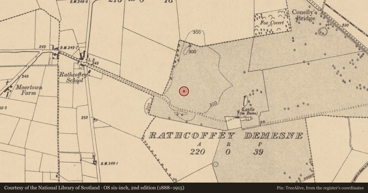 Ordnance Survey six-inch map, 2nd edition (1888–1915) covering the location of Dovecote, Rathcoffey Demesne, County Kildare, with a pin at the register's coordinates