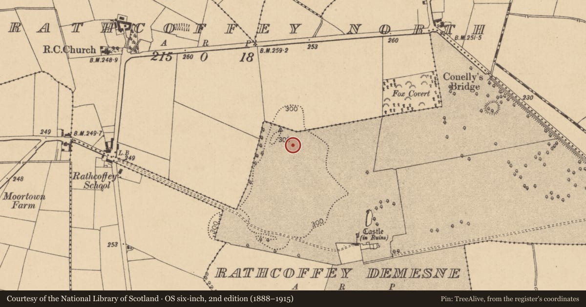 Ordnance Survey six-inch map, 2nd edition (1888–1915) covering the location of Barrow - unclassified, Rathcoffey Demesne, County Kildare, with a pin at the register's coordinates