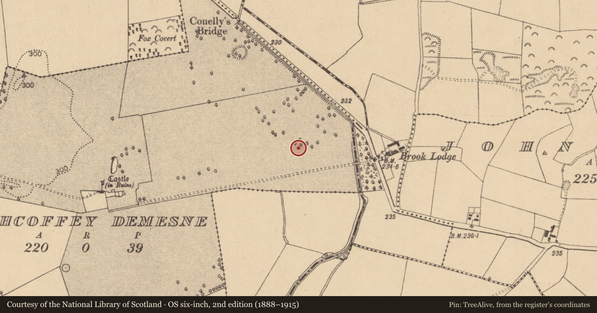 Ordnance Survey six-inch map, 2nd edition (1888–1915) covering the location of Barrow - unclassified, Rathcoffey Demesne, County Kildare, with a pin at the register's coordinates