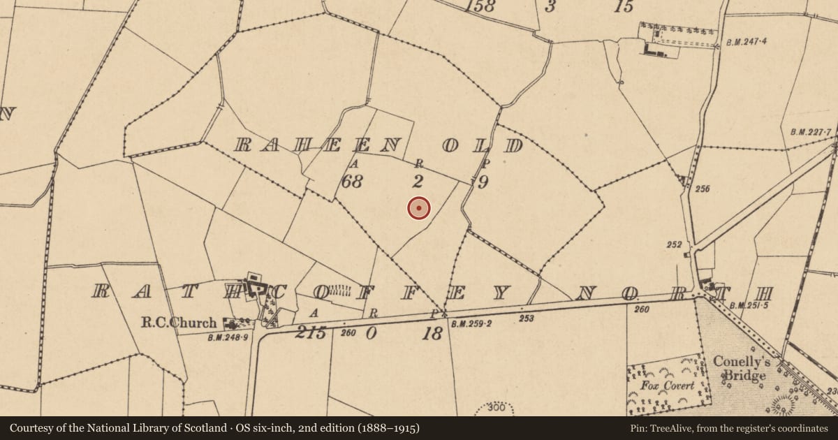 Ordnance Survey six-inch map, 2nd edition (1888–1915) covering the location of Enclosure - large enclosure, Raheen Old, County Kildare, with a pin at the register's coordinates