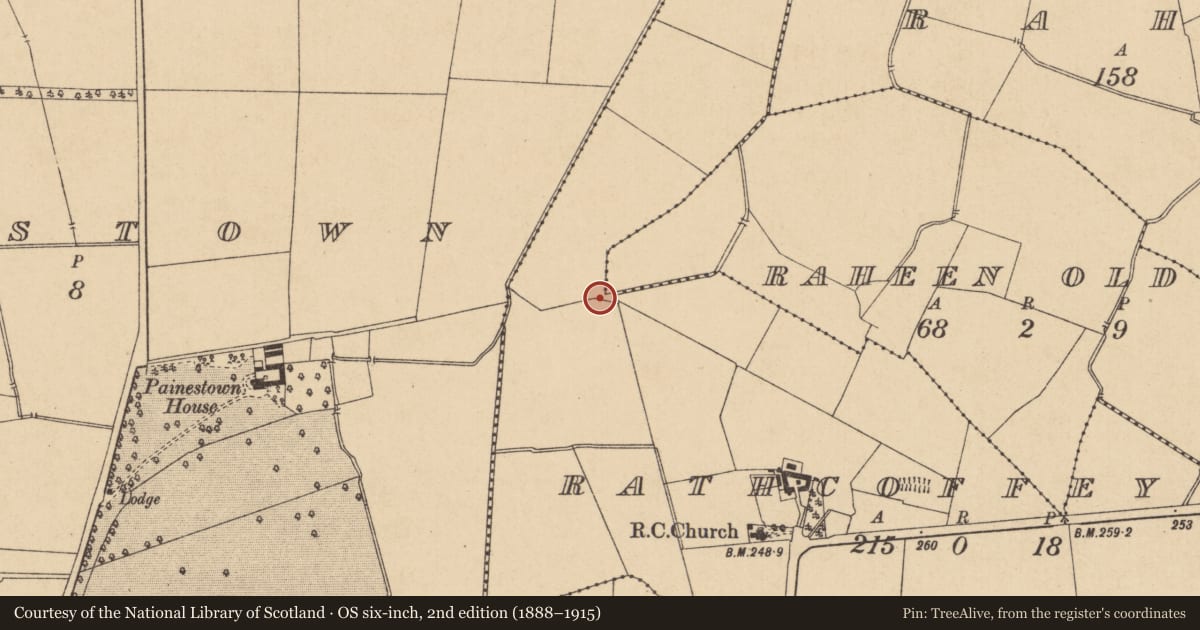 Ordnance Survey six-inch map, 2nd edition (1888–1915) covering the location of Water mill - unclassified, Raheen Old, Rathcoffey North, County Kildare, with a pin at the register's coordinates