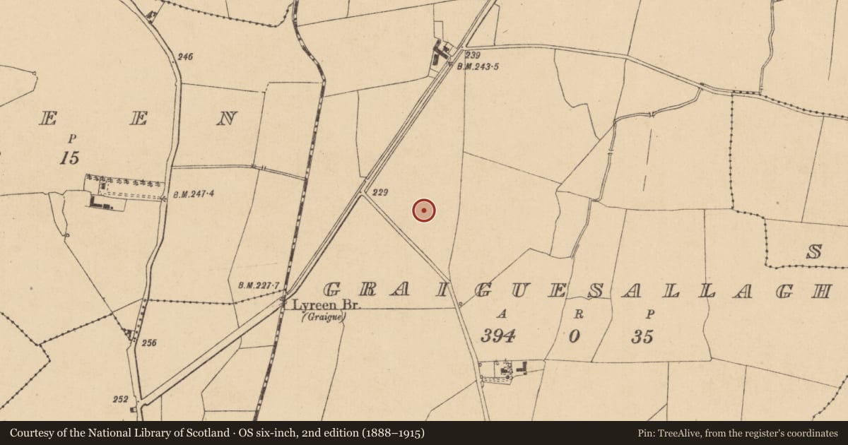 Ordnance Survey six-inch map, 2nd edition (1888–1915) covering the location of Barrow - unclassified, Graiguesallagh, County Kildare, with a pin at the register's coordinates