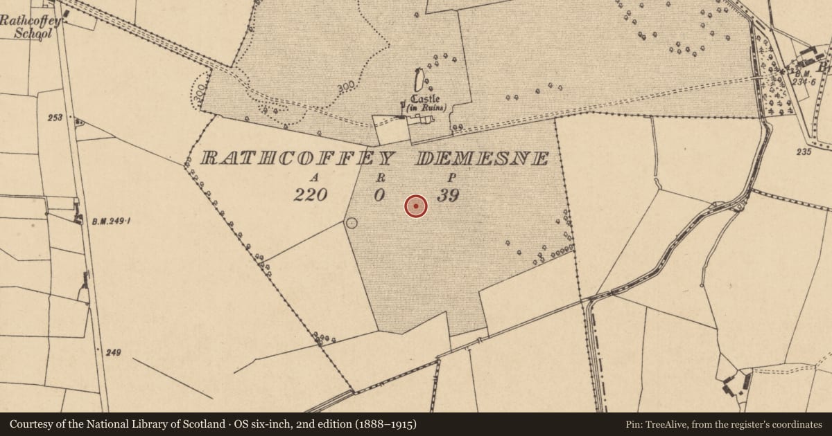 Ordnance Survey six-inch map, 2nd edition (1888–1915) covering the location of Barrow - unclassified, Rathcoffey Demesne, County Kildare, with a pin at the register's coordinates