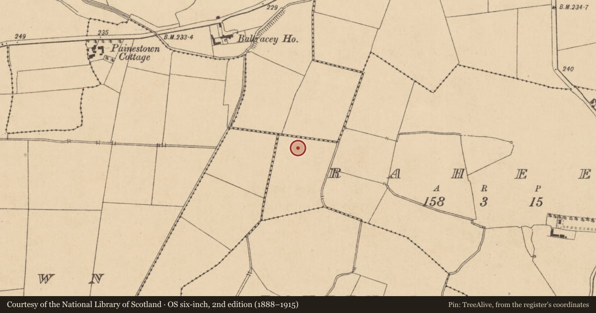 Ordnance Survey six-inch map, 2nd edition (1888–1915) covering the location of Ringfort - unclassified, Raheen, County Kildare, with a pin at the register's coordinates