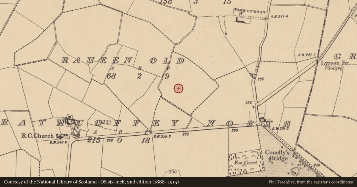 Ordnance Survey six-inch map, 2nd edition (1888–1915) covering the location of Barrow - unclassified, Raheen Old, County Kildare, with a pin at the register's coordinates