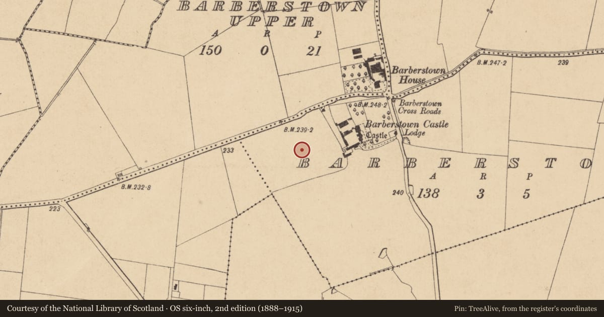 Ordnance Survey six-inch map, 2nd edition (1888–1915) covering the location of Barrow - ditch barrow, Barberstown, County Kildare, with a pin at the register's coordinates