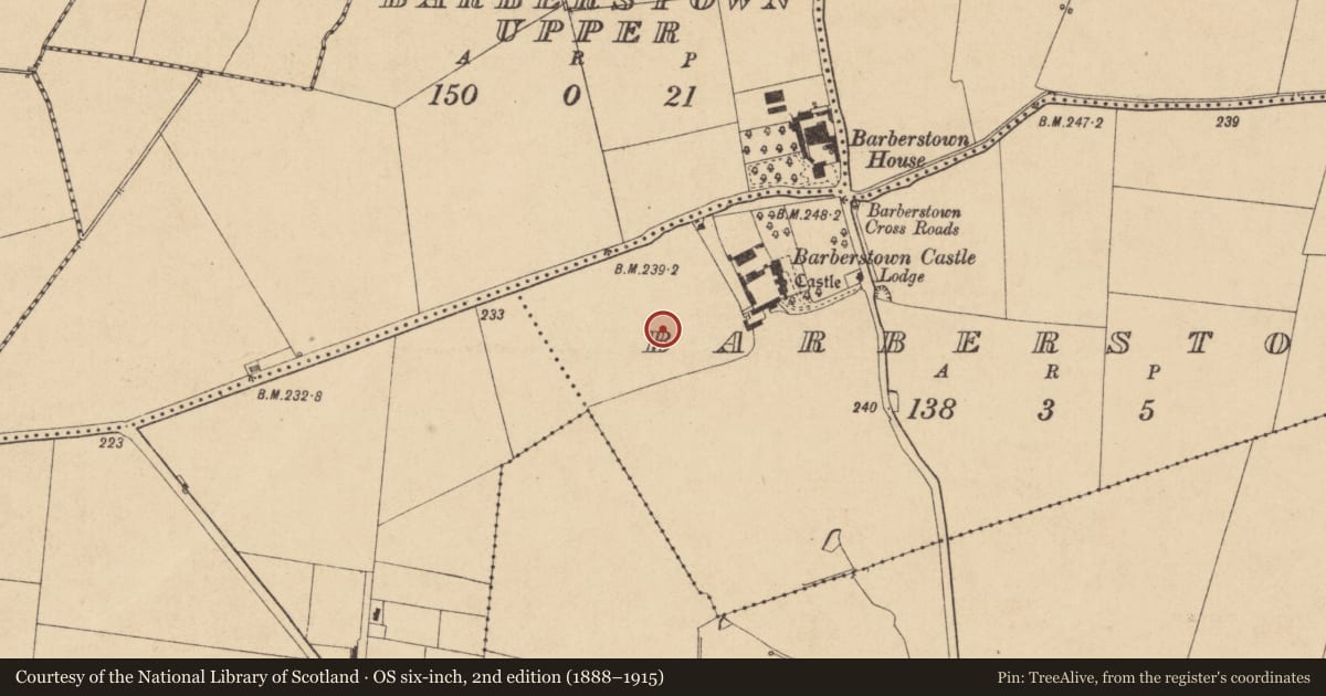 Ordnance Survey six-inch map, 2nd edition (1888–1915) covering the location of Barrow - ditch barrow, Barberstown, County Kildare, with a pin at the register's coordinates