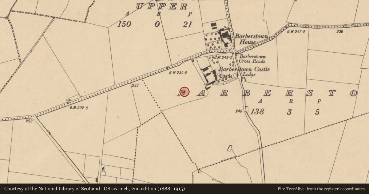 Ordnance Survey six-inch map, 2nd edition (1888–1915) covering the location of Barrow - ditch barrow, Barberstown, County Kildare, with a pin at the register's coordinates