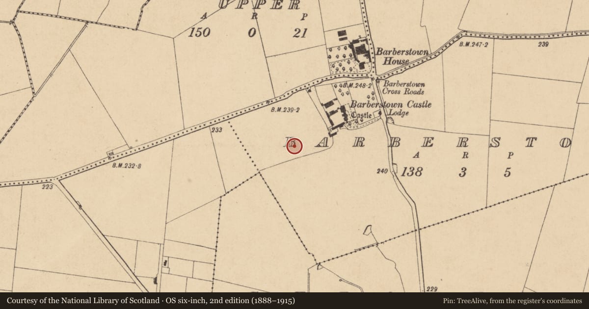 Ordnance Survey six-inch map, 2nd edition (1888–1915) covering the location of Barrow - ditch barrow, Barberstown, County Kildare, with a pin at the register's coordinates