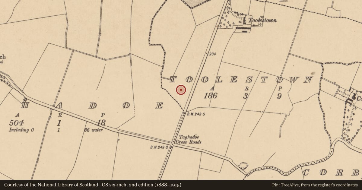 Ordnance Survey six-inch map, 2nd edition (1888–1915) covering the location of Ring-ditch, Toolestown, County Kildare, with a pin at the register's coordinates
