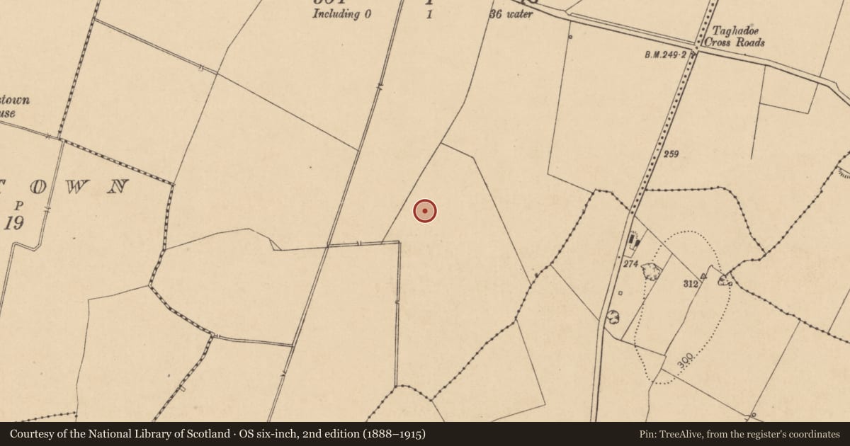 Ordnance Survey six-inch map, 2nd edition (1888–1915) covering the location of Enclosure, Taghadoe, County Kildare, with a pin at the register's coordinates