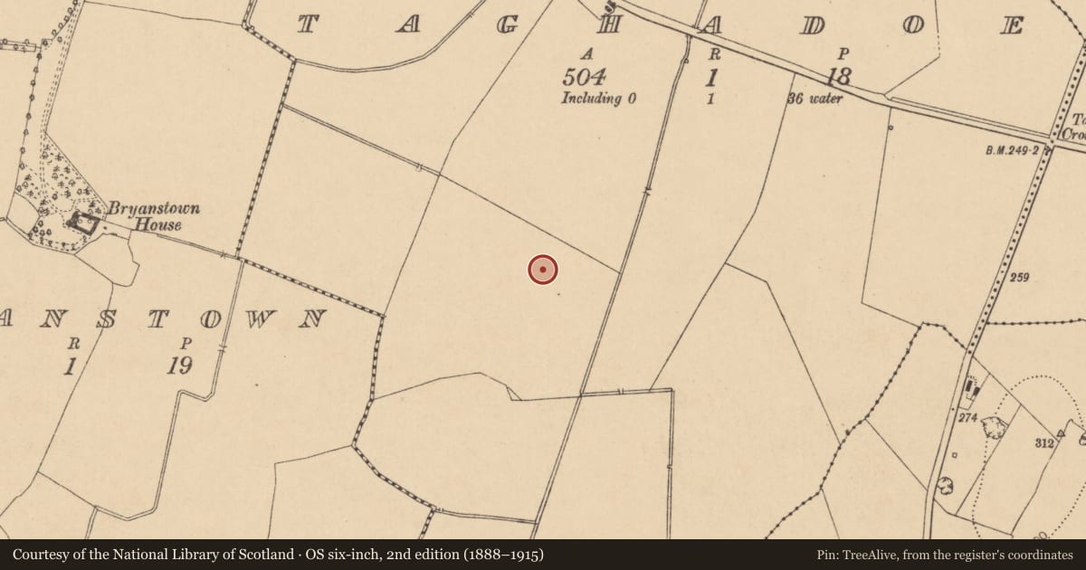Ordnance Survey six-inch map, 2nd edition (1888–1915) covering the location of Enclosure, Taghadoe, County Kildare, with a pin at the register's coordinates