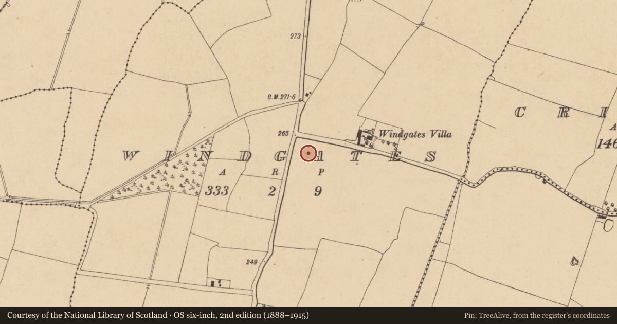Ordnance Survey six-inch map, 2nd edition (1888–1915) covering the location of Ring-ditch, Windgates, County Kildare, with a pin at the register's coordinates