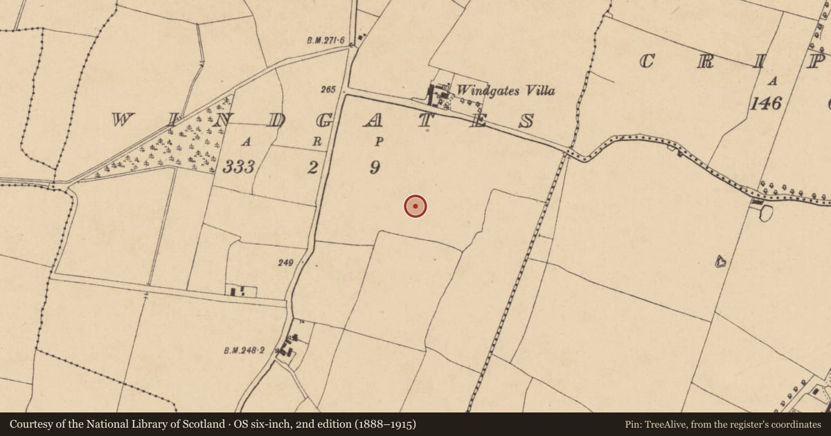 Ordnance Survey six-inch map, 2nd edition (1888–1915) covering the location of Ringfort - unclassified, Windgates, County Kildare, with a pin at the register's coordinates
