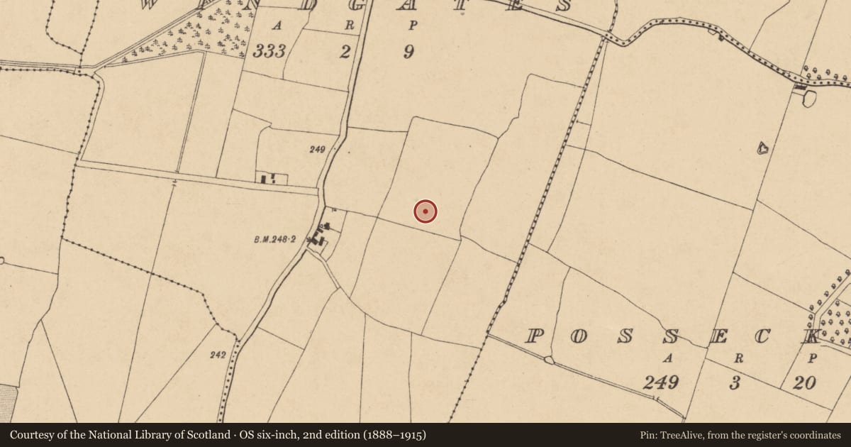 Ordnance Survey six-inch map, 2nd edition (1888–1915) covering the location of Enclosure, Windgates, County Kildare, with a pin at the register's coordinates