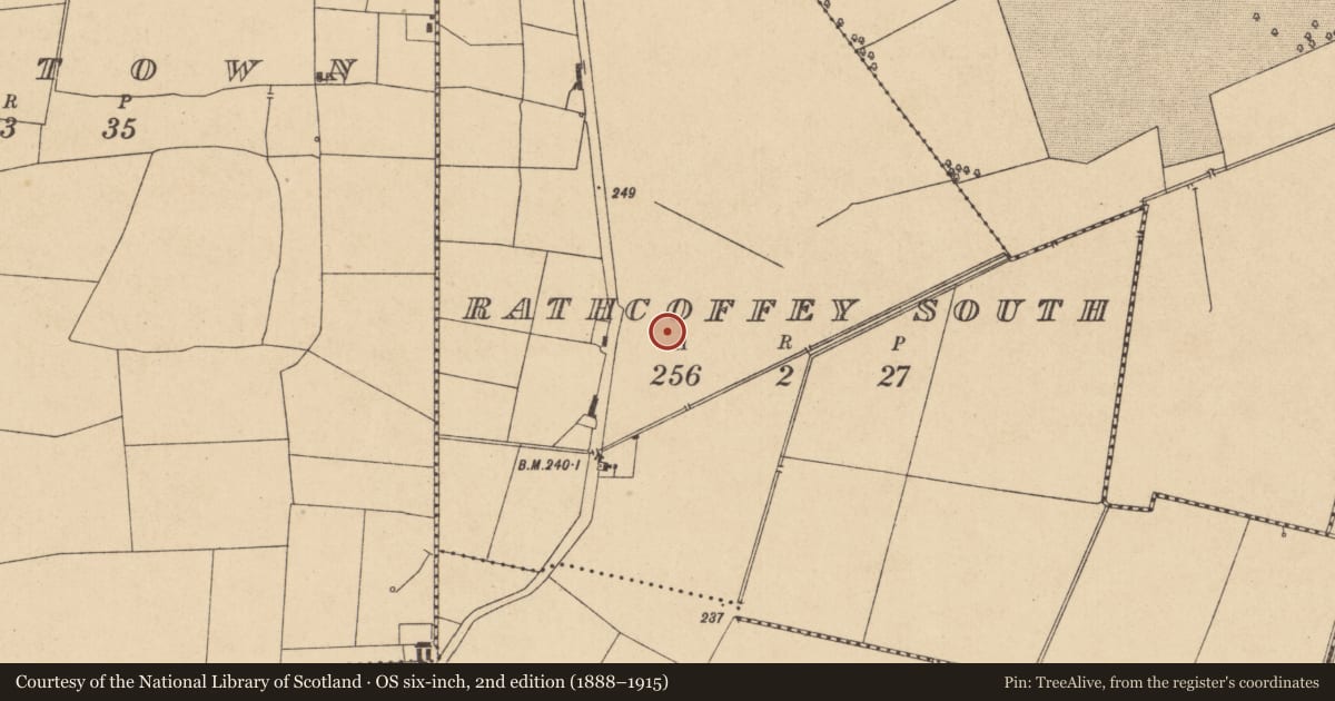 Ordnance Survey six-inch map, 2nd edition (1888–1915) covering the location of Enclosure, Rathcoffey South, County Kildare, with a pin at the register's coordinates