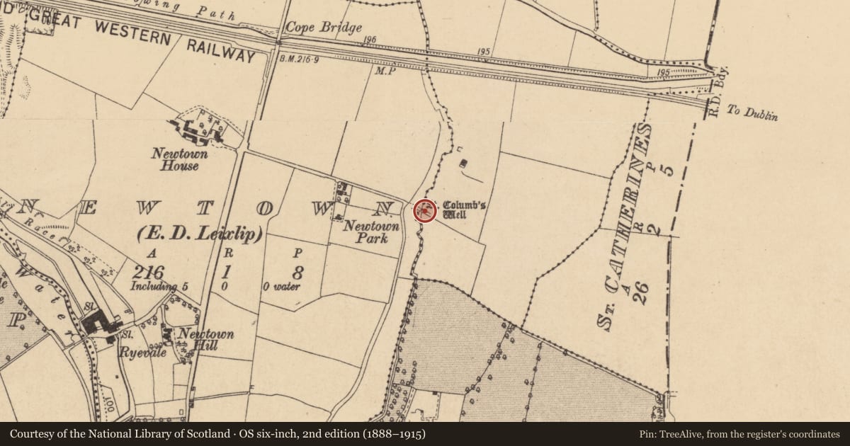 Ordnance Survey six-inch map, 2nd edition (1888–1915) covering the location of Ritual site - holy well, Newtown, County Kildare, with a pin at the register's coordinates