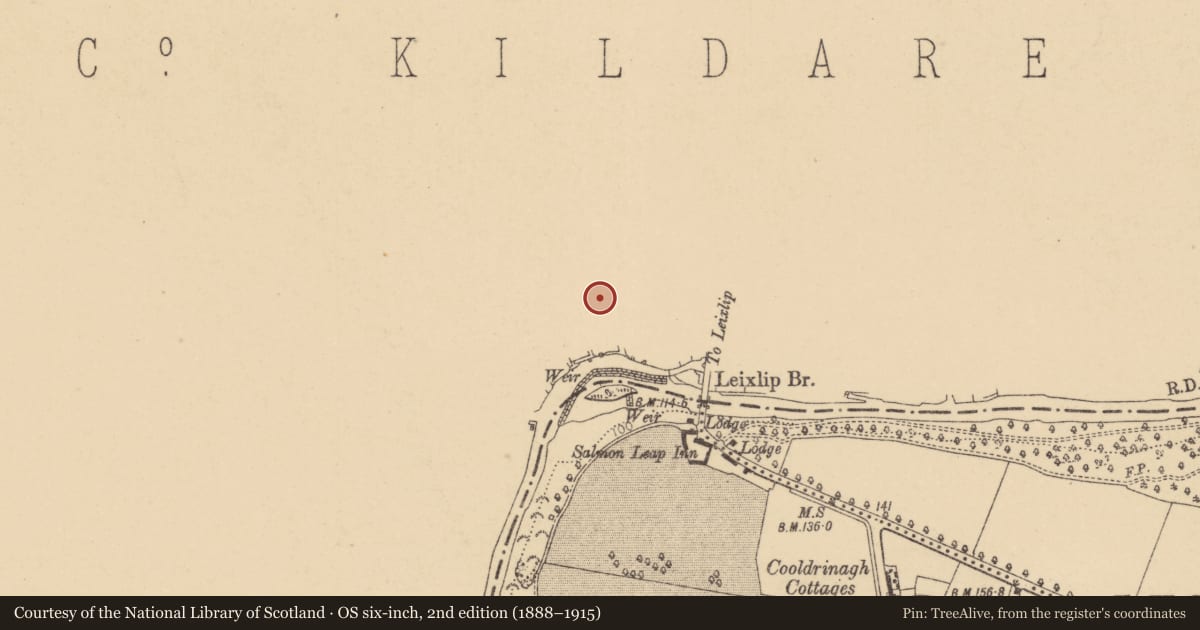 Ordnance Survey six-inch map, 2nd edition (1888–1915) covering the location of Historic town, County Kildare, with a pin at the register's coordinates