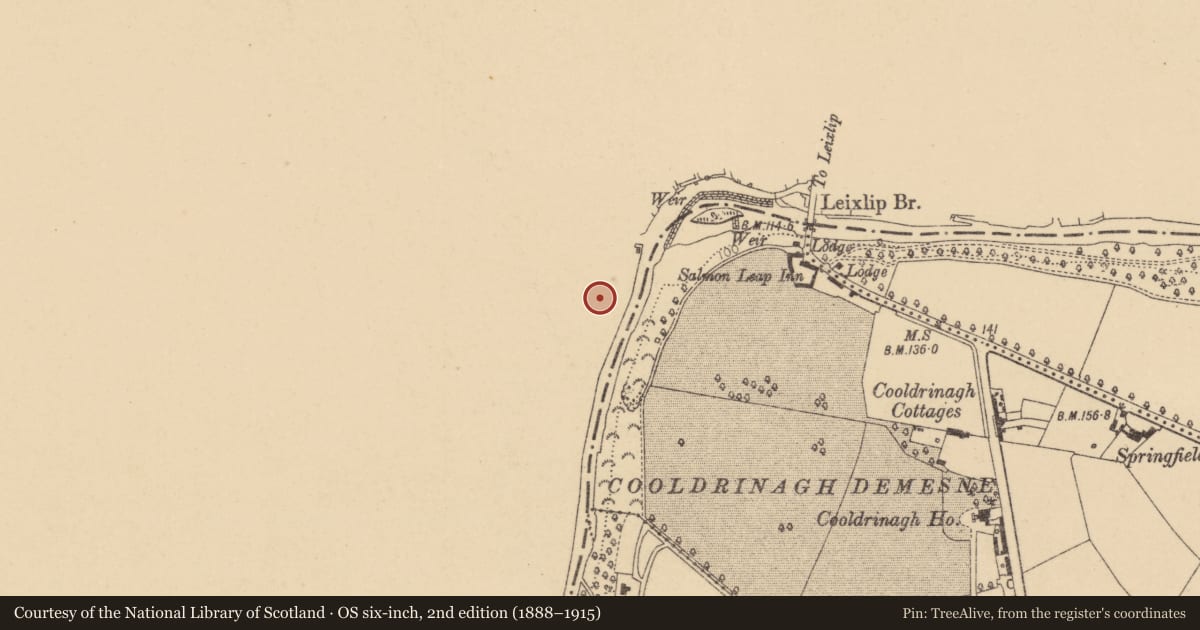 Ordnance Survey six-inch map, 2nd edition (1888–1915) covering the location of Castle - Anglo-Norman masonry castle, Leixlip, County Kildare, with a pin at the register's coordinates