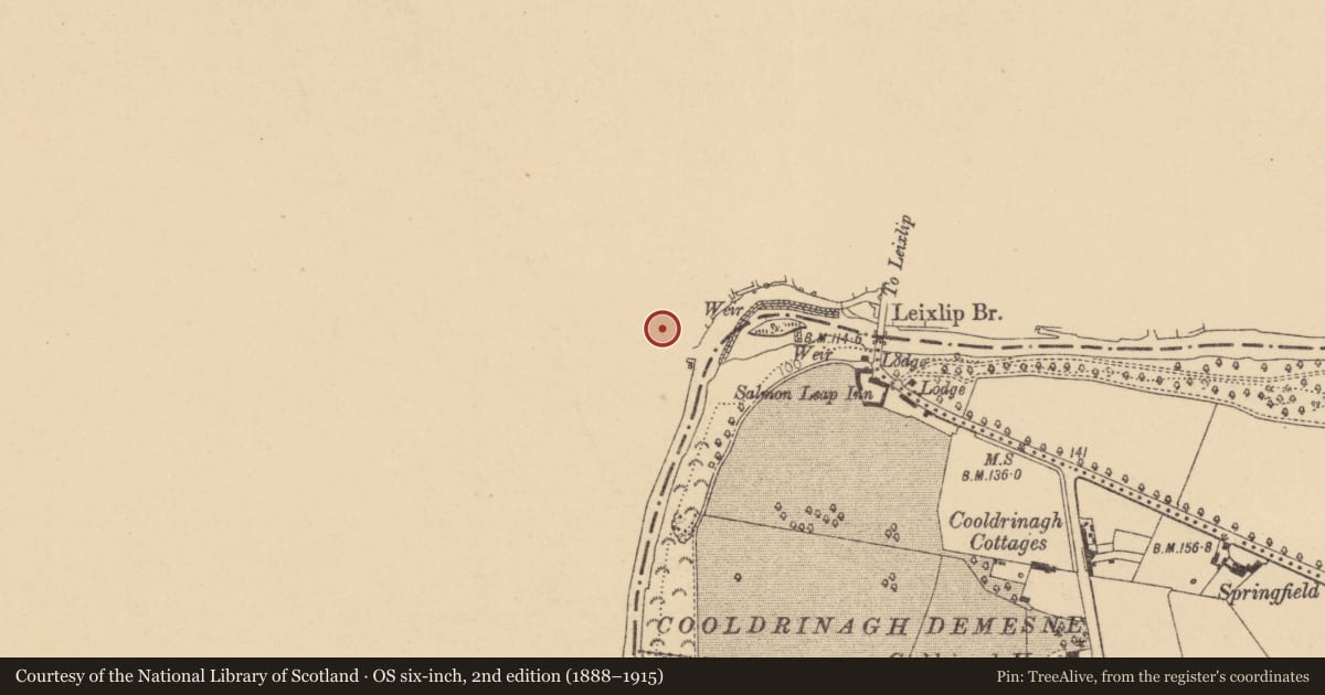 Ordnance Survey six-inch map, 2nd edition (1888–1915) covering the location of Graveyard, Leixlip, County Kildare, with a pin at the register's coordinates