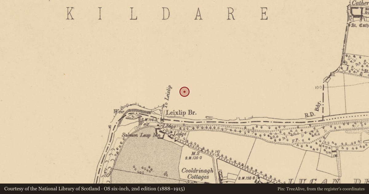 Ordnance Survey six-inch map, 2nd edition (1888–1915) covering the location of Castle - tower house, Leixlip, County Kildare, with a pin at the register's coordinates