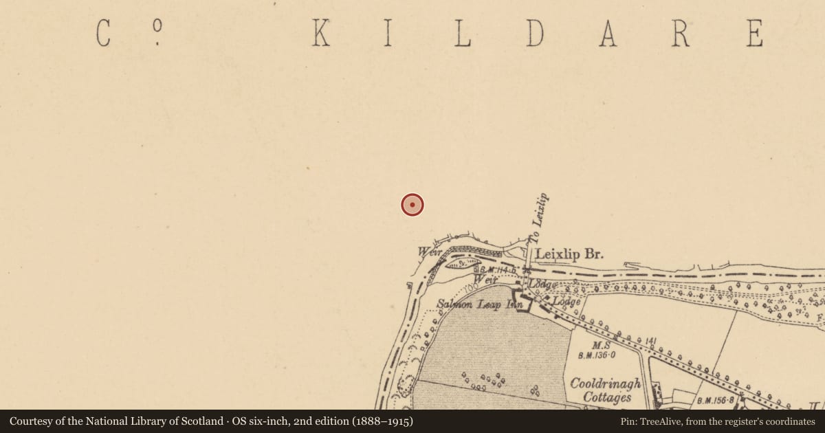 Ordnance Survey six-inch map, 2nd edition (1888–1915) covering the location of Habitation site, Leixlip, County Kildare, with a pin at the register's coordinates