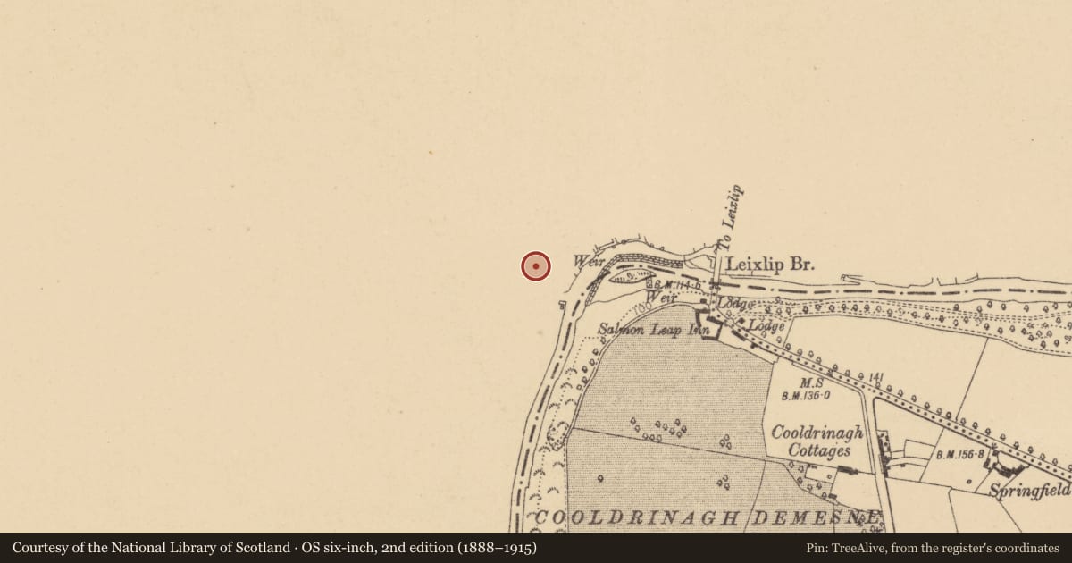 Ordnance Survey six-inch map, 2nd edition (1888–1915) covering the location of Graveslab, Leixlip, County Kildare, with a pin at the register's coordinates