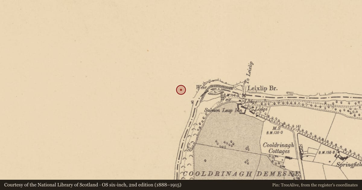Ordnance Survey six-inch map, 2nd edition (1888–1915) covering the location of Font, Leixlip, County Kildare, with a pin at the register's coordinates