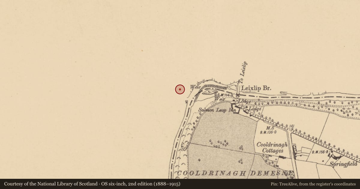 Ordnance Survey six-inch map, 2nd edition (1888–1915) covering the location of Stone head, Leixlip, County Kildare, with a pin at the register's coordinates