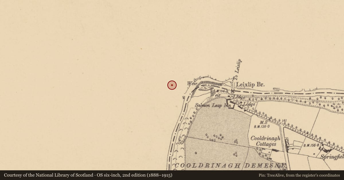 Ordnance Survey six-inch map, 2nd edition (1888–1915) covering the location of Stone head, Leixlip, County Kildare, with a pin at the register's coordinates