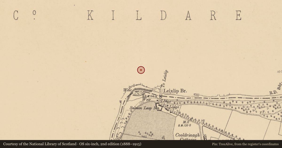 Ordnance Survey six-inch map, 2nd edition (1888–1915) covering the location of House - 17th century, Leixlip, County Kildare, with a pin at the register's coordinates