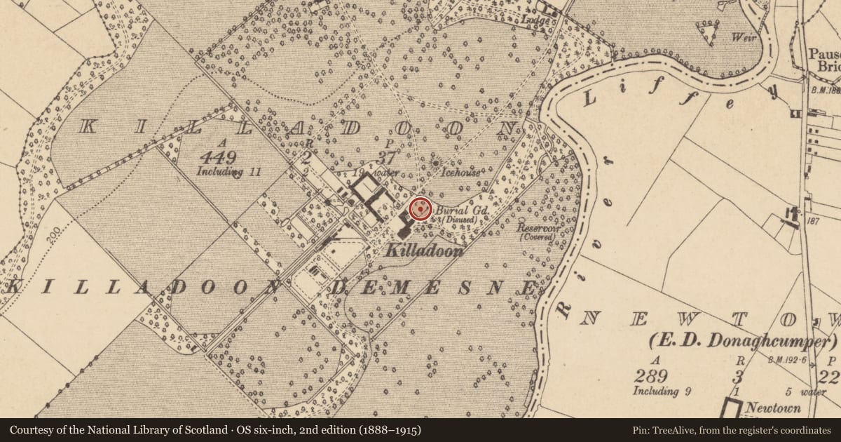 Ordnance Survey six-inch map, 2nd edition (1888–1915) covering the location of Church, Killadoon, County Kildare, with a pin at the register's coordinates