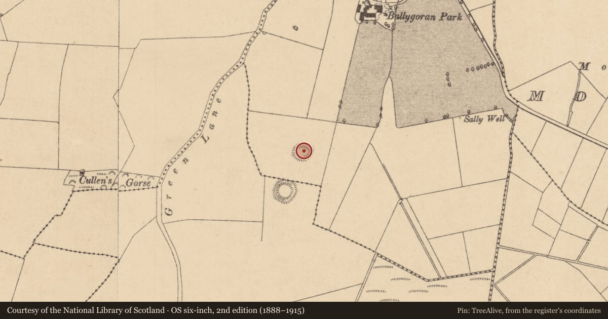 Ordnance Survey six-inch map, 2nd edition (1888–1915) covering the location of Ringfort - rath, Ballygoran, County Kildare, with a pin at the register's coordinates