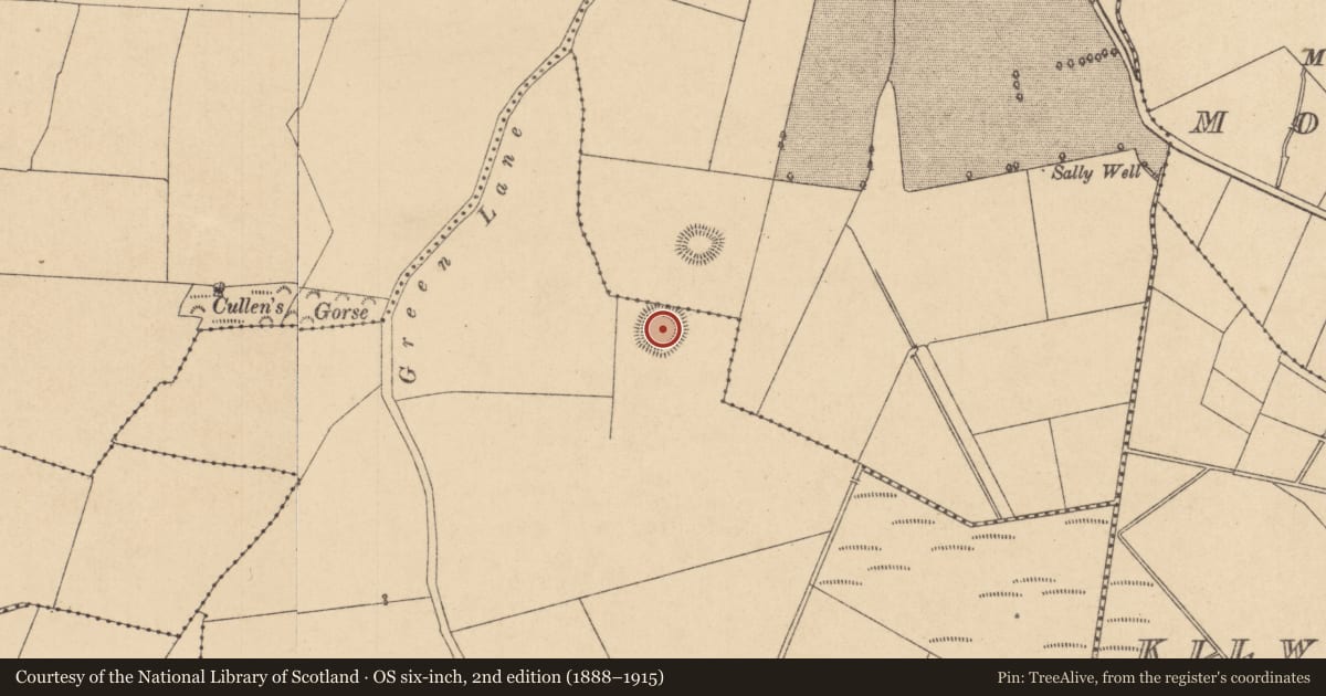 Ordnance Survey six-inch map, 2nd edition (1888–1915) covering the location of Ringfort - rath, Griffinrath, County Kildare, with a pin at the register's coordinates