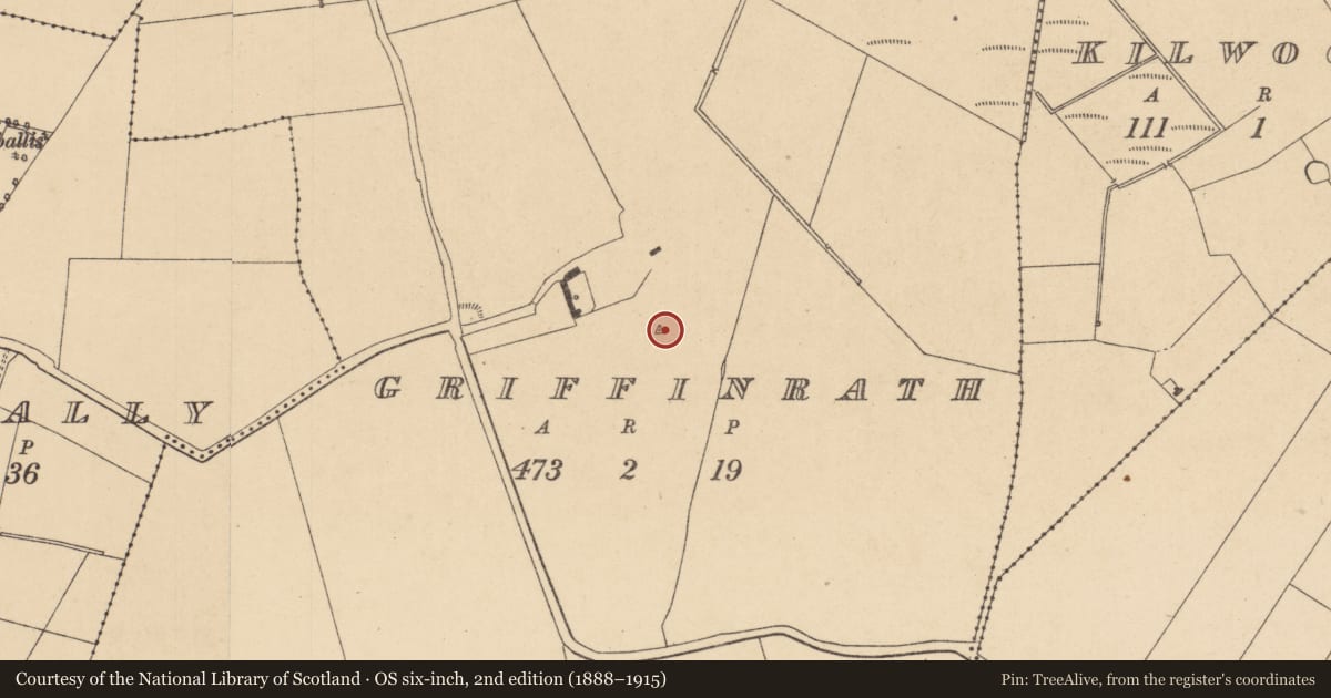Ordnance Survey six-inch map, 2nd edition (1888–1915) covering the location of Mound, Griffinrath, County Kildare, with a pin at the register's coordinates