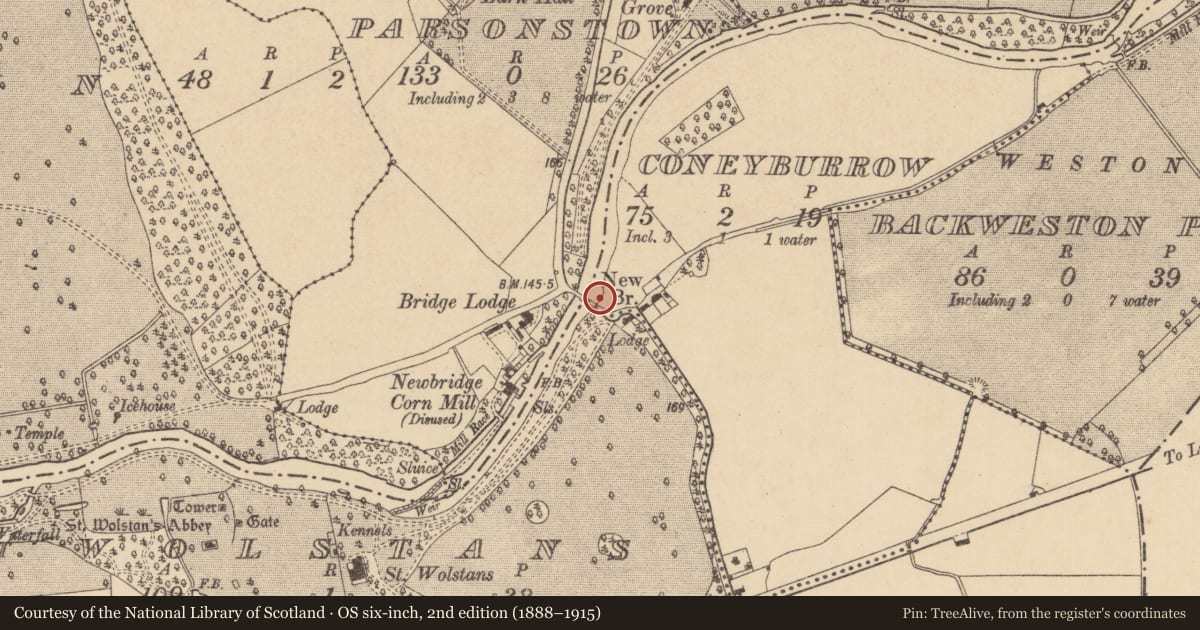 Ordnance Survey six-inch map, 2nd edition (1888–1915) covering the location of Bridge, County Kildare, with a pin at the register's coordinates