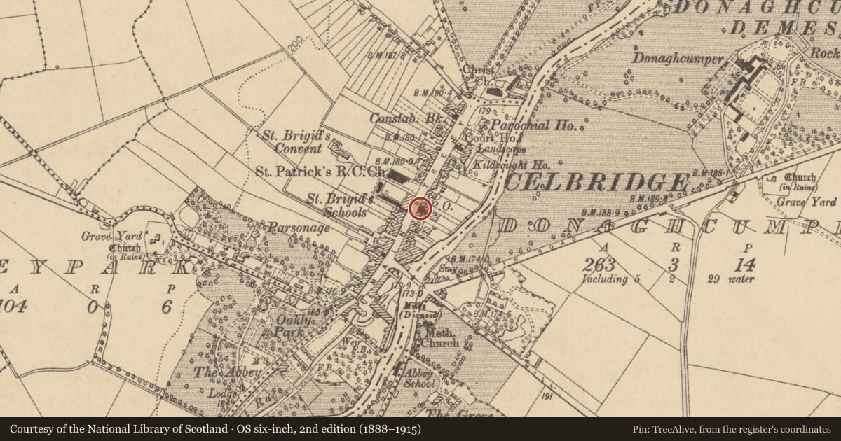 Ordnance Survey six-inch map, 2nd edition (1888–1915) covering the location of Historic town, County Kildare, with a pin at the register's coordinates