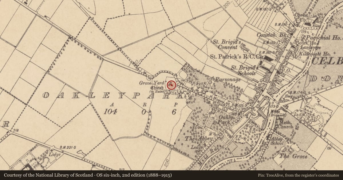 Ordnance Survey six-inch map, 2nd edition (1888–1915) covering the location of Graveyard, Oakleypark, County Kildare, with a pin at the register's coordinates