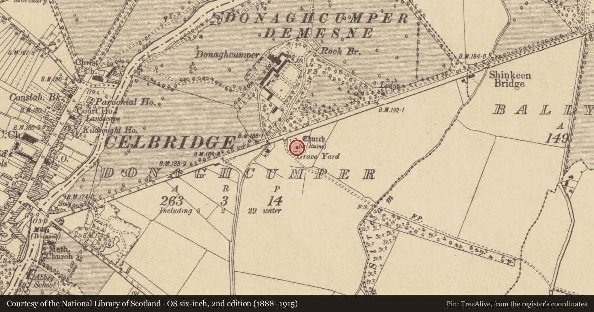 Ordnance Survey six-inch map, 2nd edition (1888–1915) covering the location of Graveyard, Donaghcumper, County Kildare, with a pin at the register's coordinates
