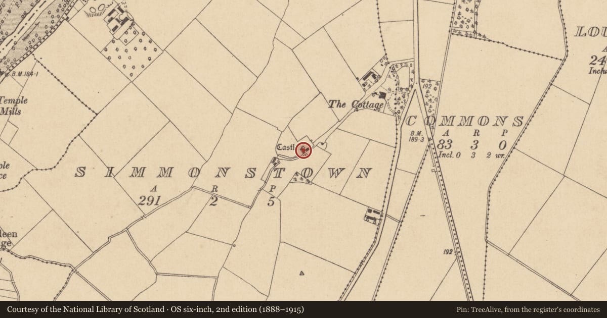 Ordnance Survey six-inch map, 2nd edition (1888–1915) covering the location of Castle - unclassified, Simmonstown, County Kildare, with a pin at the register's coordinates